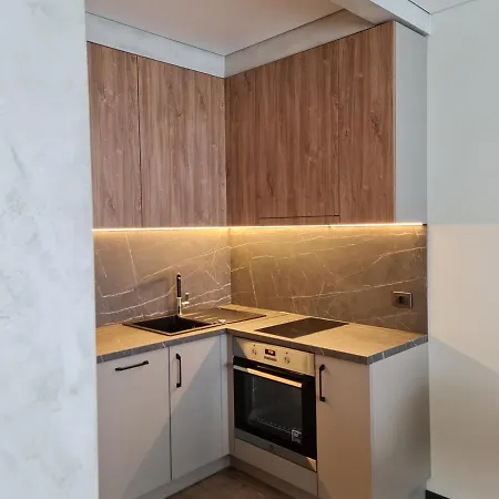 Studio Apartamentas Su Balkonu * Vilnius